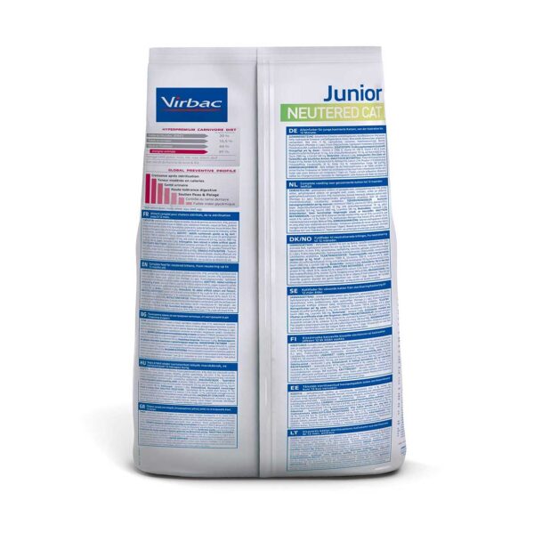 JUNIOR-CAT-NEUTERED-trasera