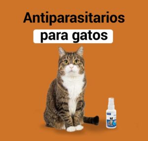 antiparasitos-gatos