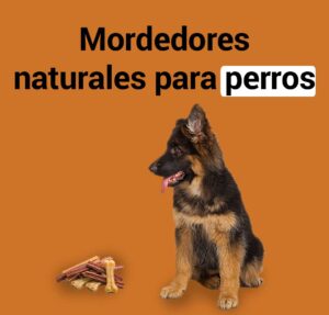 mordedores-naturales-perros