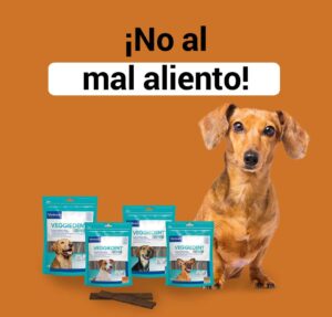 no-al-mal-aliento