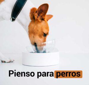 pienso-perros