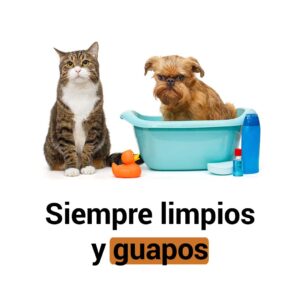 siempre-limpios-y-guapos