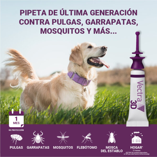 Vectra 3D para perros de 10-25 kg - 3 Pipetas - Imagen 2