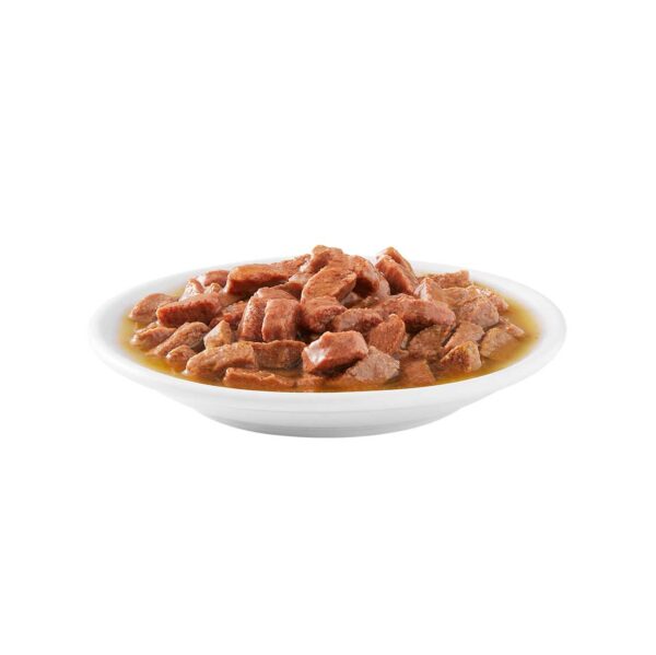 ADULT-NEUT.CAT-SM.12x85GR-comida