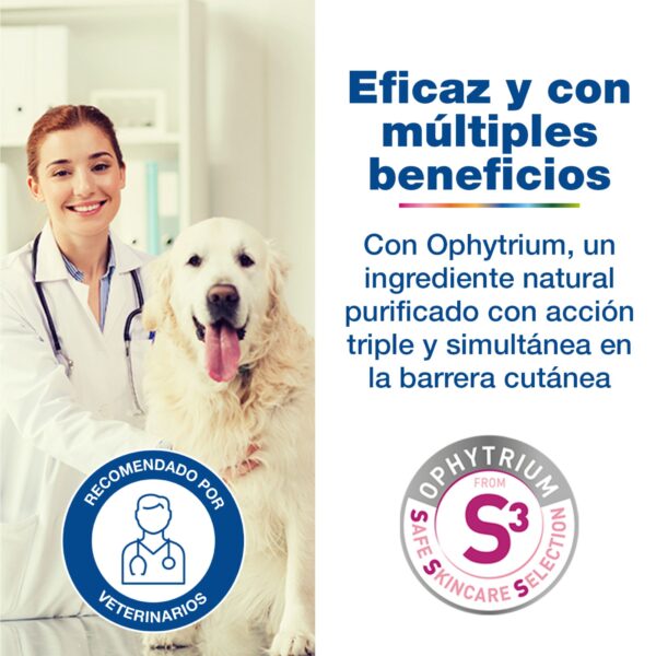 DOUXO S3 Calm Champú Pieles sensibles – Alivia y Protege - Imagen 3