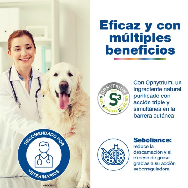 DOUXO S3 Seb Champú antiolor y Seborregulador - Imagen 3