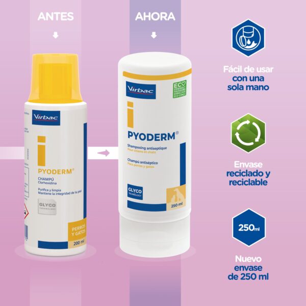 Pyoderm Champú - Defensa Total contra Infecciones Cutáneas - Imagen 2