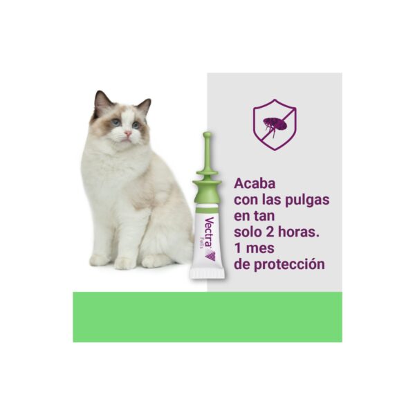 Vectra Felis para gatos - 3 Pipetas - Imagen 2