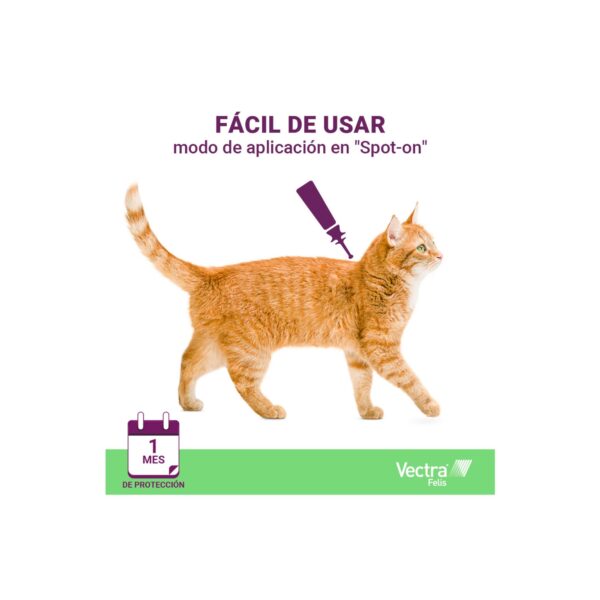 Vectra Felis para gatos - 3 Pipetas - Imagen 4