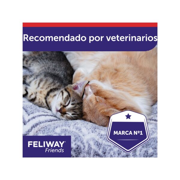FELIWAY® Friends - Difusor + Recambio 30 días - Imagen 5