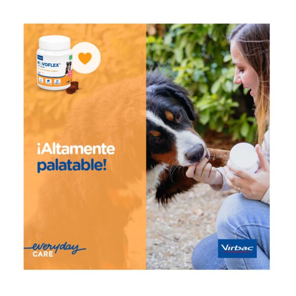Movoflex Soft Chews M suplemento articular para tu perro - Imagen 3