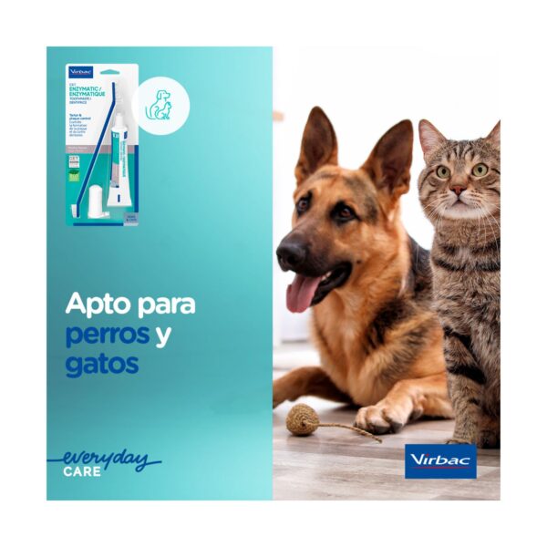 Pasta Dentífrica Enzimática C.E.T. Kit - Imagen 6