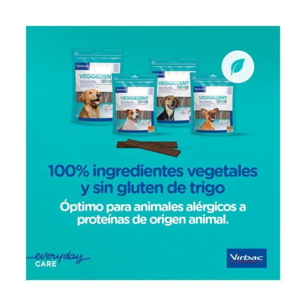 Veggiedent Fresh S Snack Dental - Imagen 3