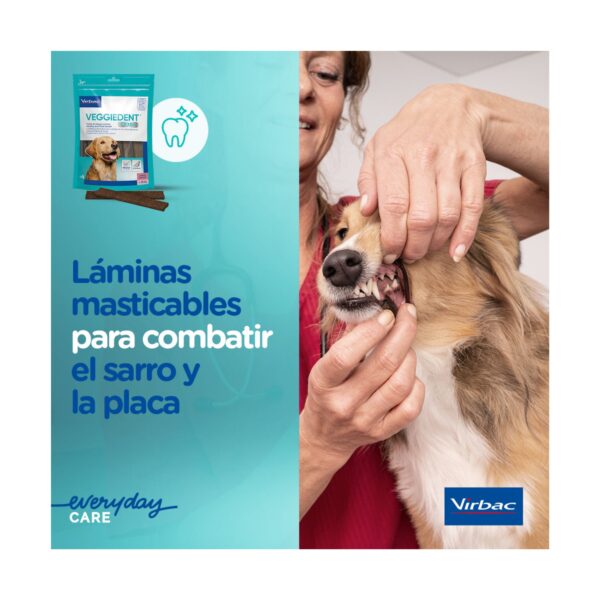 Veggiedent Fresh S Snack Dental - Imagen 4
