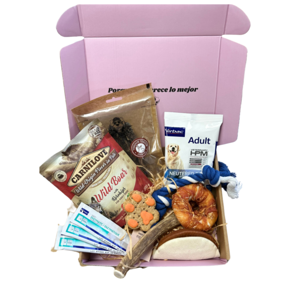 Caja Yummybox Dog