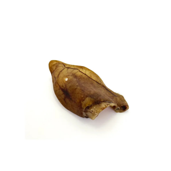 Oreja de Cerdo Ibérico para perro- Snack dental 100% Natural - Imagen 3