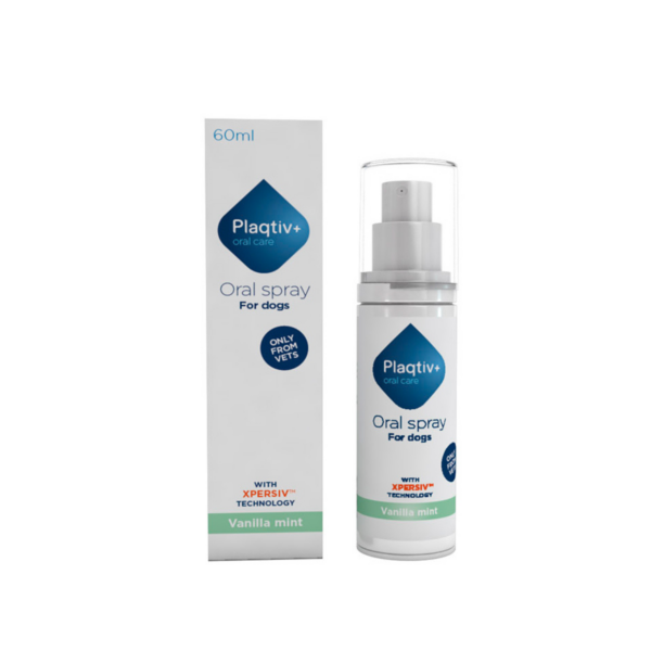 PLAQTIV + SPRAY ORAL 60ML