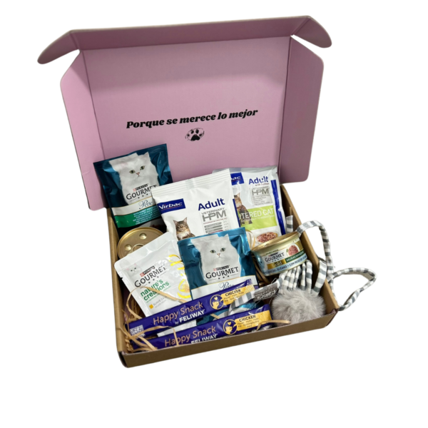 Caja Yummybox Cat
